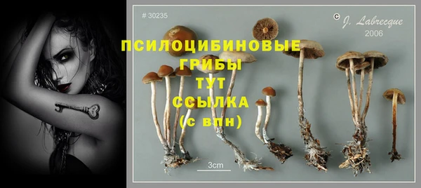 каннабис Новокубанск