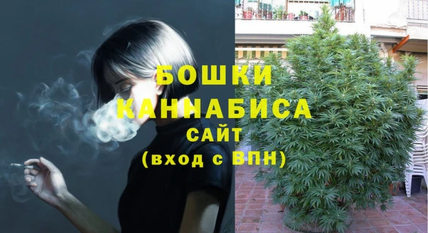 соль ск Нея
