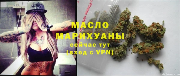 спиды Новодвинск