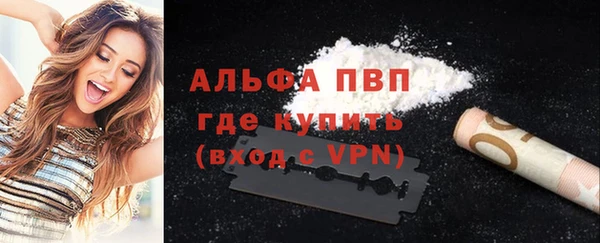 спиды Новодвинск