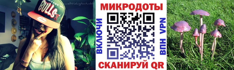 Псилоцибиновые грибы мицелий  Купить  Данилов 